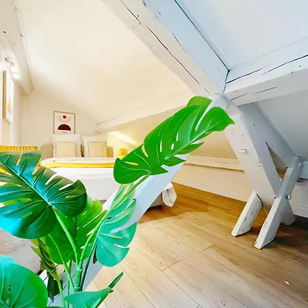 Dorcet Wifi Gare Perrache Appartement Lyon